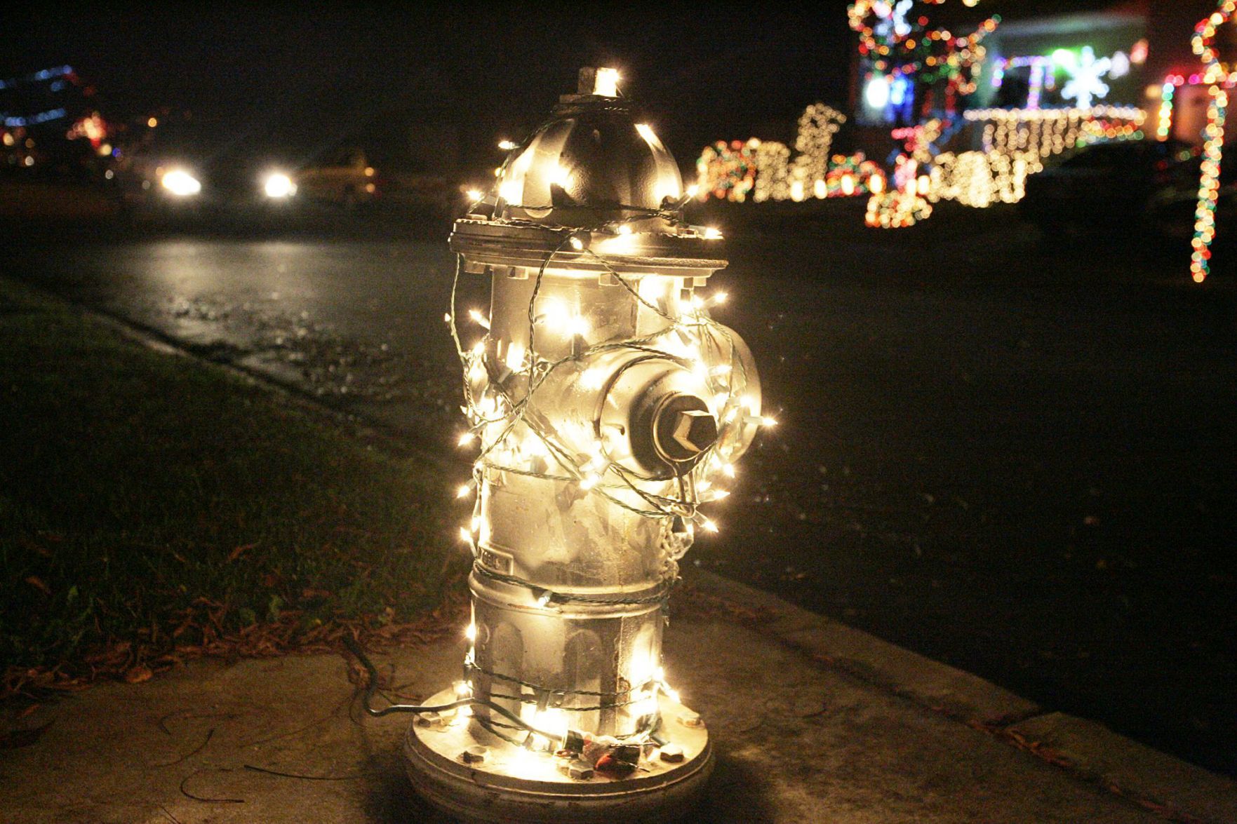 Paradise Drive Christmas lights
